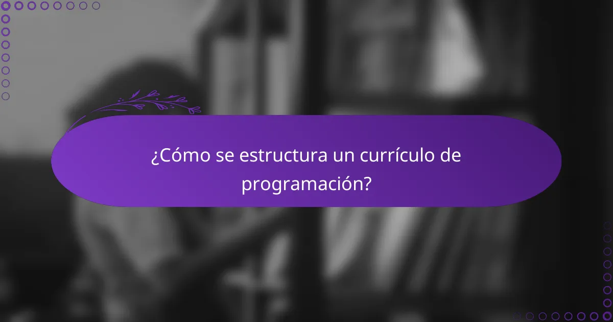 ¿Cómo se estructura un currículo de programación?