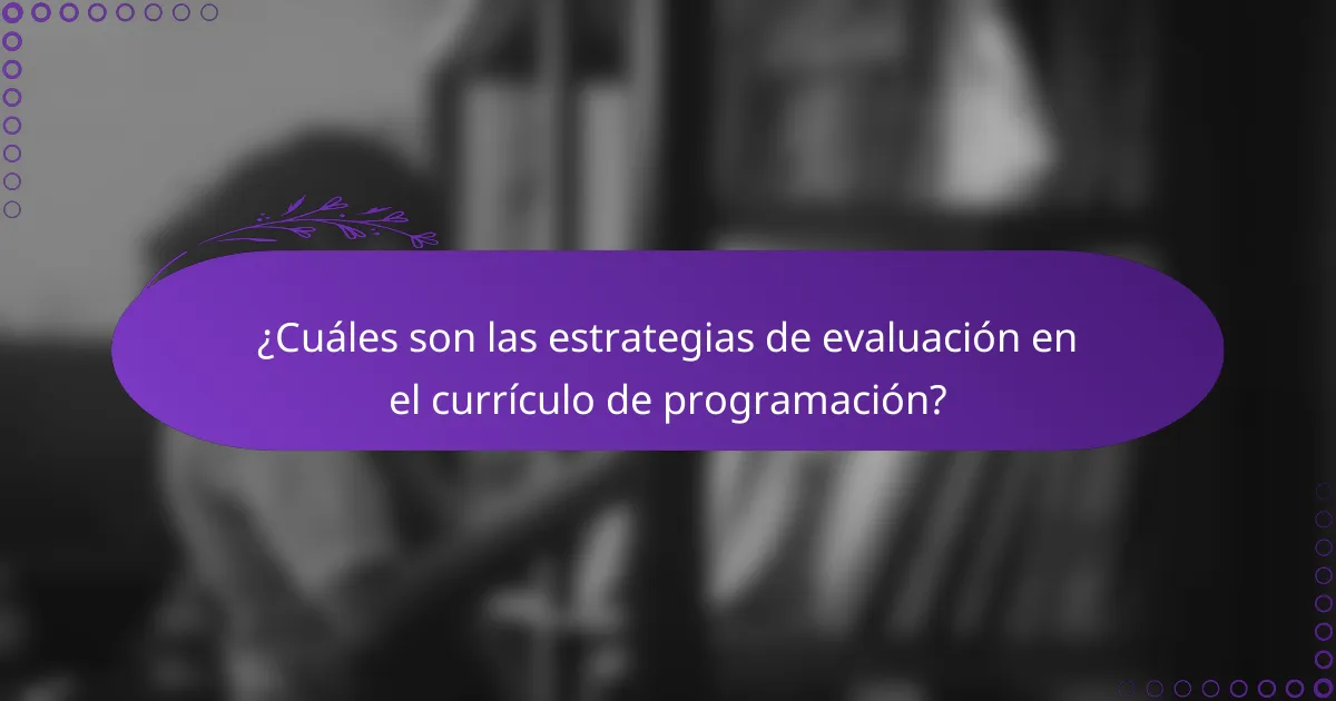 ¿Cuáles son las estrategias de evaluación en el currículo de programación?