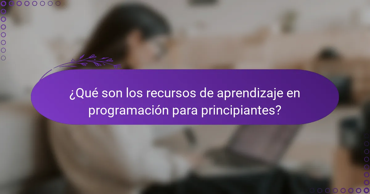 ¿Qué son los recursos de aprendizaje en programación para principiantes?